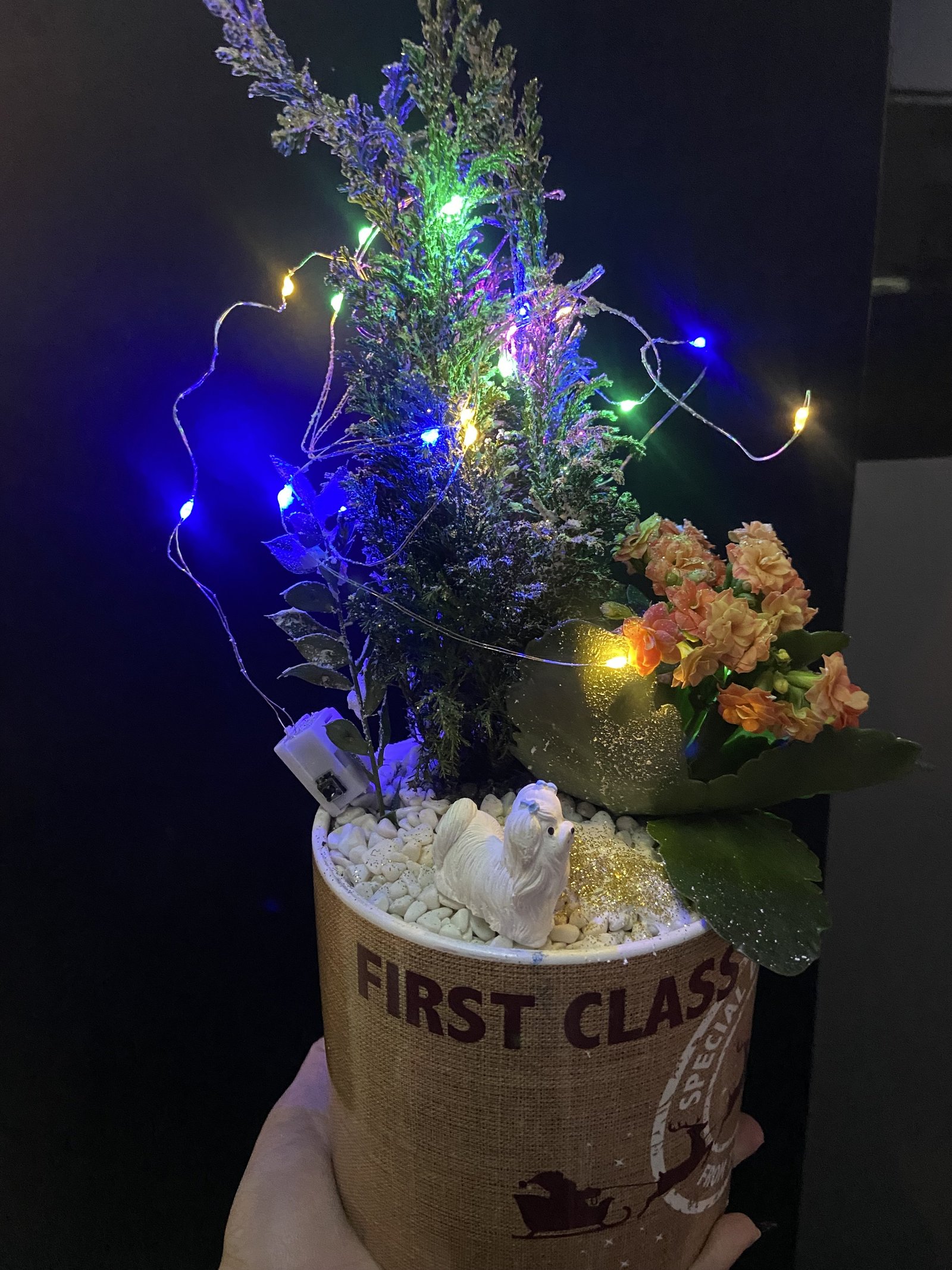 Işıklı yılbaşı aranjmanı çam ve kalanşo 