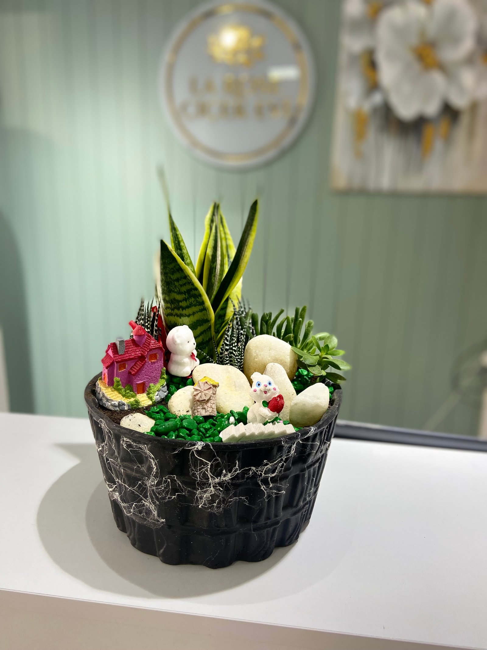 Kaktüs sukulent Teraryum 