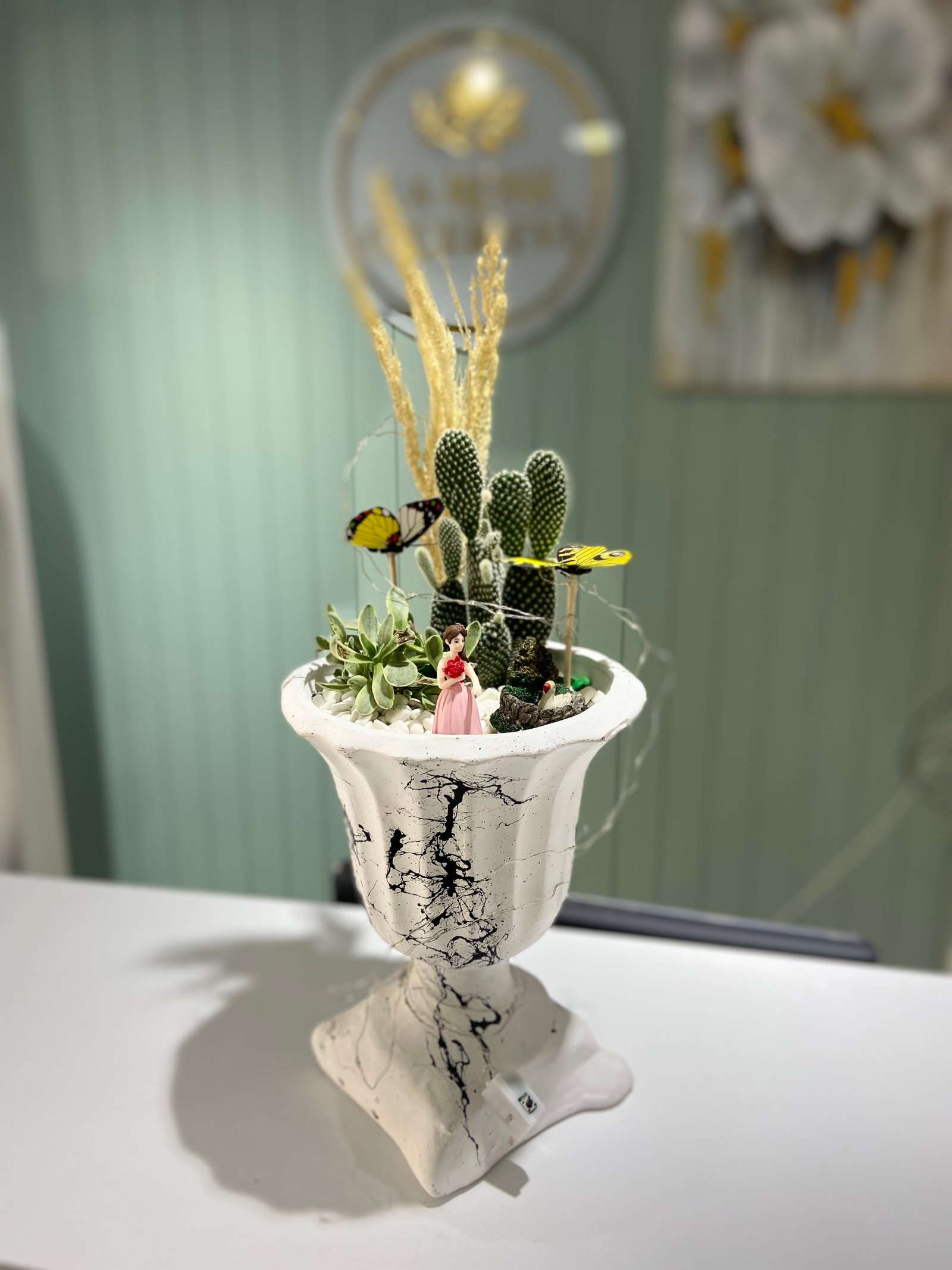 Kaktüs ve sukulent teraryumları